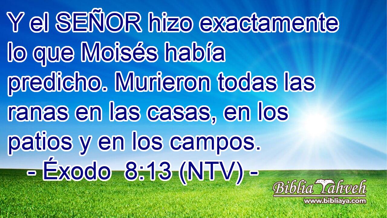 Y el SEÑOR hizo exactamente lo que Moisés había predicho. Murieron todas las ranas en las casas, en los patios y en los campos.