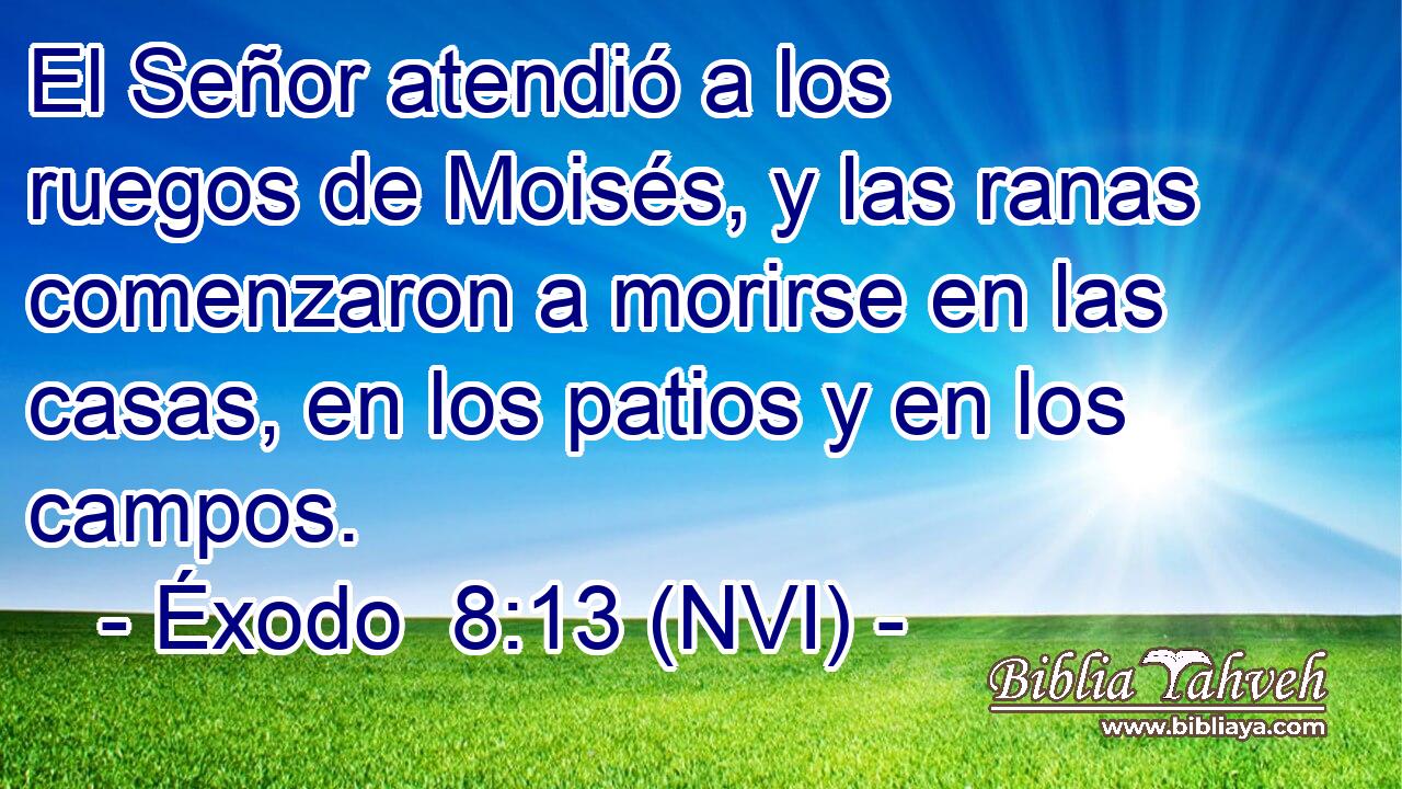  El Señor atendió a los ruegos de Moisés, y las ranas comenzaron a morirse en las casas, en los patios y en los campos. 