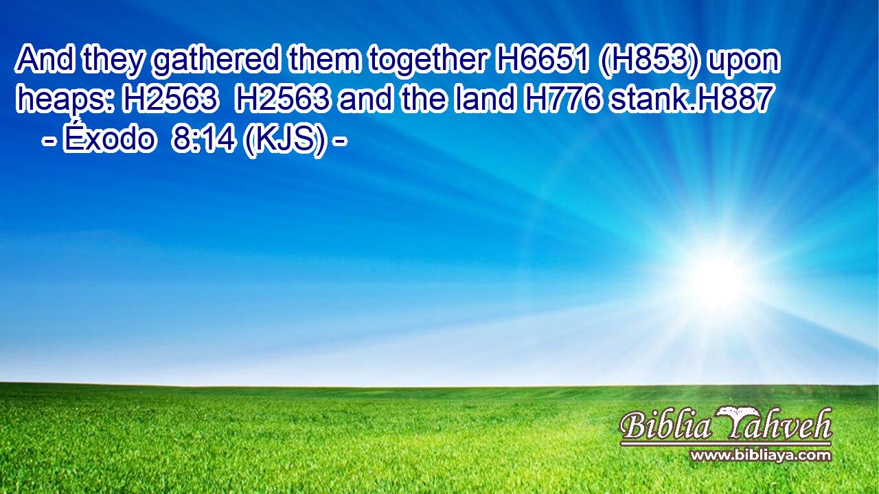 And they gathered them together H6651 (H853) upon heaps: H2563  H2563 and the land H776 stank.H887