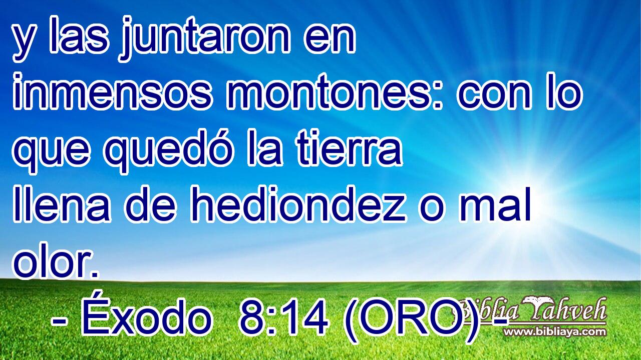  y las juntaron en inmensos montones: con lo que quedó la tierra llena de hediondez o mal olor. 