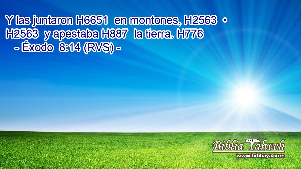 Y las juntaron H6651  en montones, H2563  • H2563  y apestaba H887  la tierra. H776  