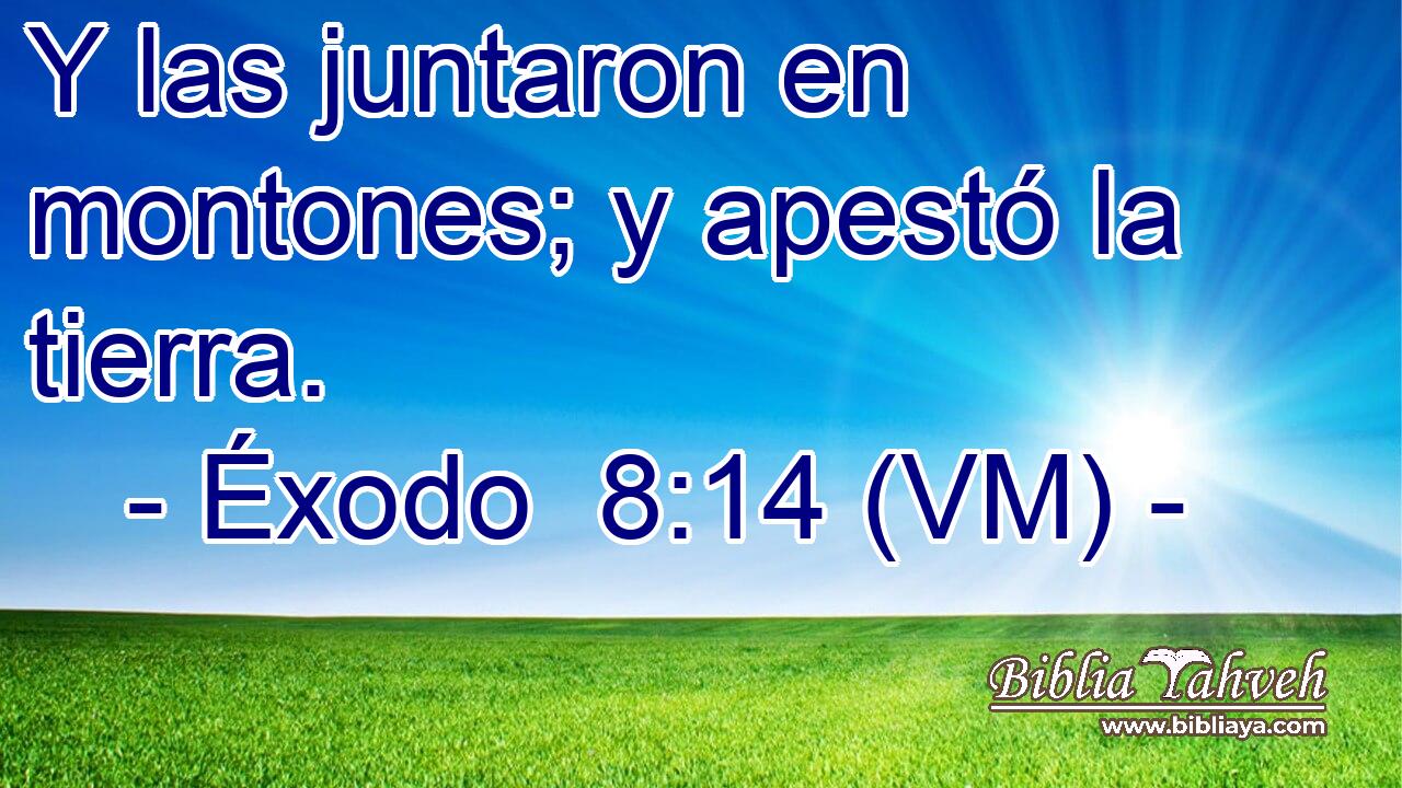  Y las juntaron en montones; y apestó la tierra. 