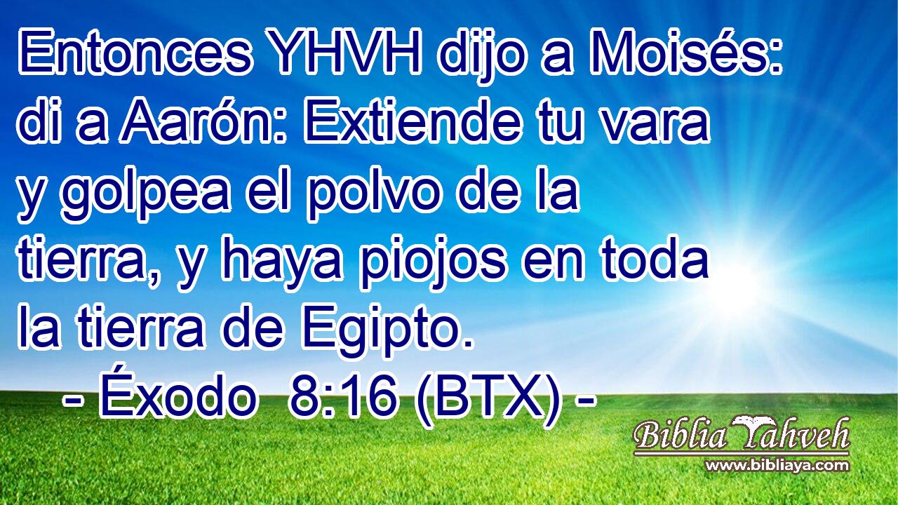 Entonces YHVH dijo a Moisés: di a Aarón: Extiende tu vara y golpea el polvo de la tierra, y haya piojos en toda la tierra de Egipto.