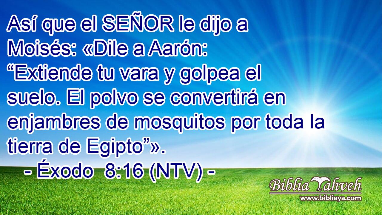 Así que el SEÑOR le dijo a Moisés: «Dile a Aarón: “Extiende tu vara y golpea el suelo. El polvo se convertirá en enjambres de mosquitos por toda la tierra de Egipto”».