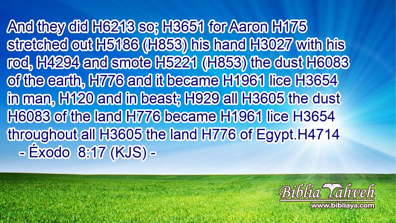 And they did H6213 so; H3651 for Aaron H175 stretched out H5186 (H853) his hand H3027 with his rod, H4294 and smote H5221 (H853) the dust H6083 of the earth, H776 and it became H1961 lice H3654 in man, H120 and in beast; H929 all H3605 the dust H6083 of the land H776 became H1961 lice H3654 throughout all H3605 the land H776 of Egypt.H4714
