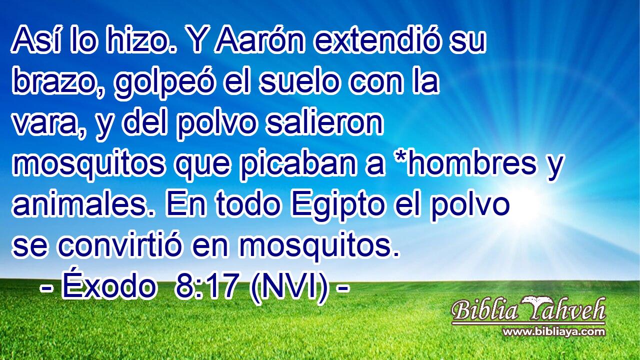  Así lo hizo. Y Aarón extendió su brazo, golpeó el suelo con la vara, y del polvo salieron mosquitos que picaban a *hombres y animales. En todo Egipto el polvo se convirtió en mosquitos. 