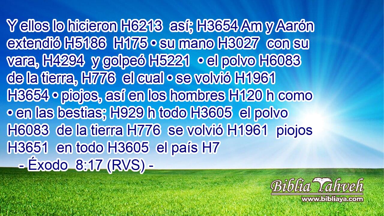 Y ellos lo hicieron H6213  así; H3654 Am y Aarón extendió H5186  H175 • su mano H3027  con su vara, H4294  y golpeó H5221  • el polvo H6083  de la tierra, H776  el cual • se volvió H1961  H3654 • piojos, así en los hombres H120 h como • en las bestias; H929 h todo H3605  el polvo H6083  de la tierra H776  se volvió H1961  piojos H3651  en todo H3605  el país H7