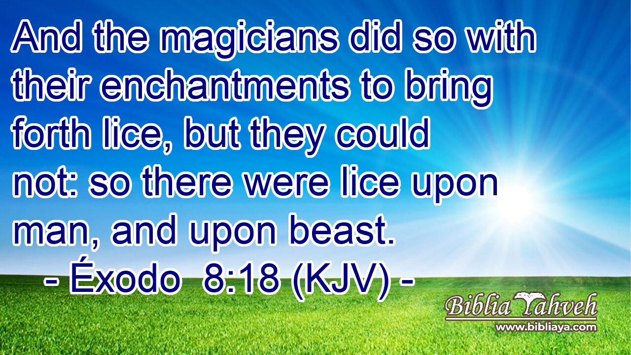 And the magicians did so with their enchantments to bring forth lice, but they could not: so there were lice upon man, and upon beast.