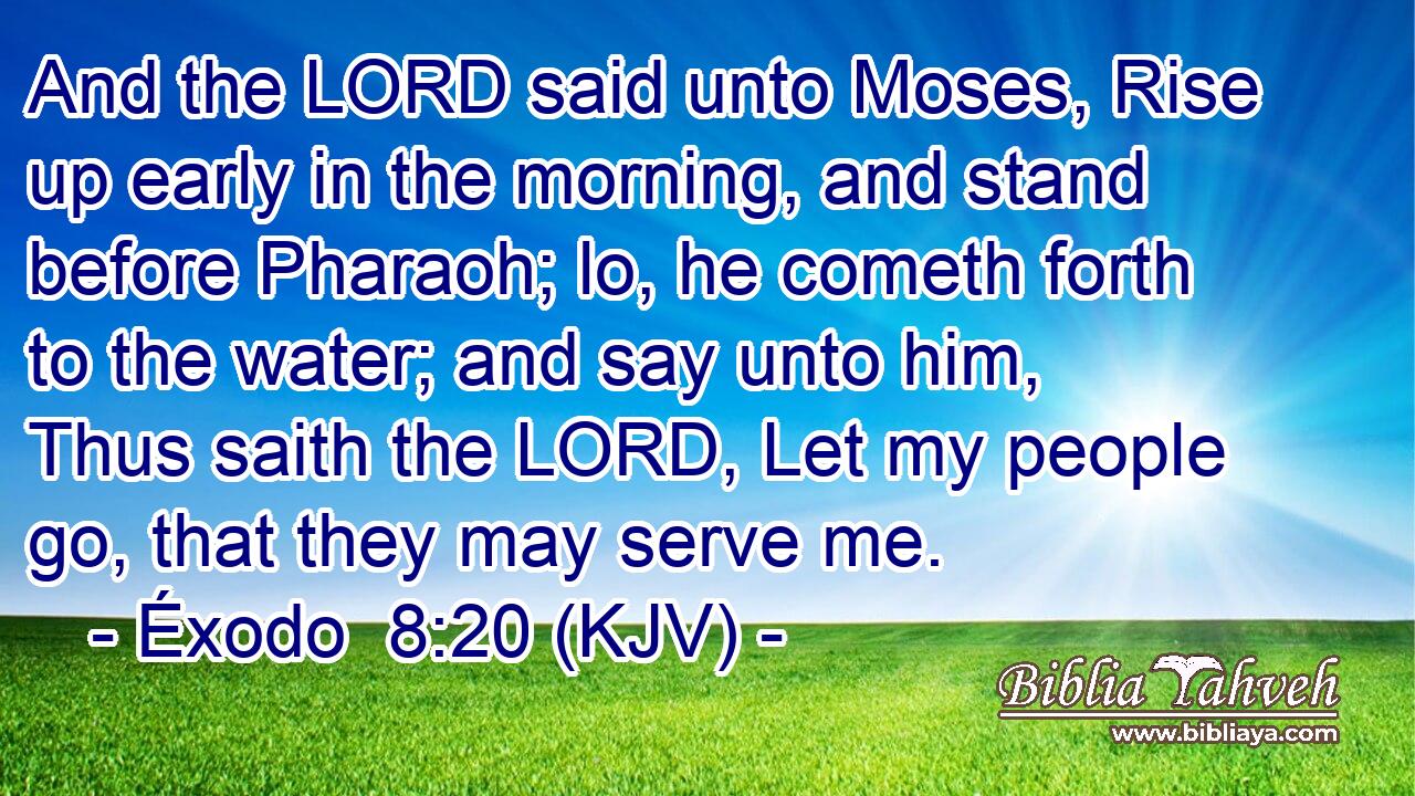 And the LORD said unto Moses, Rise up early in the morning, and stand before Pharaoh; lo, he cometh forth to the water; and say unto him, Thus saith the LORD, Let my people go, that they may serve me.