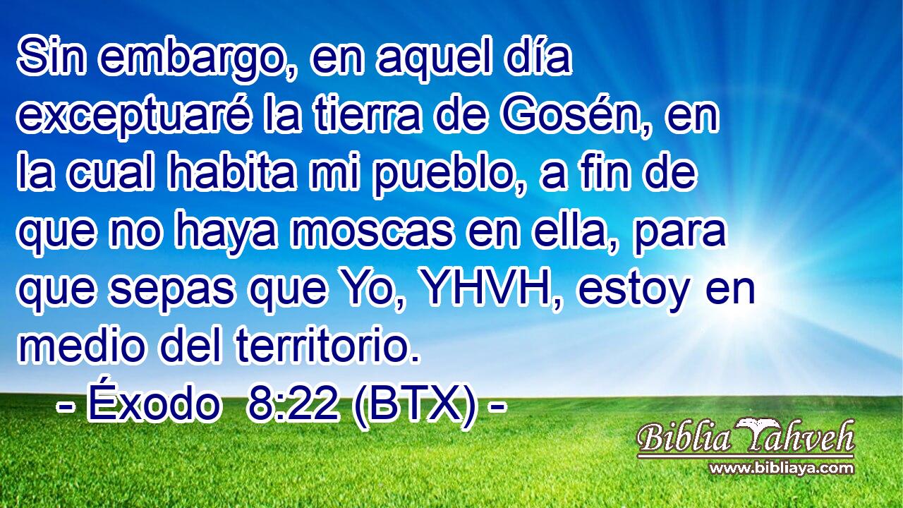 Sin embargo, en aquel día exceptuaré la tierra de Gosén, en la cual habita mi pueblo, a fin de que no haya moscas en ella, para que sepas que Yo, YHVH, estoy en medio del territorio.