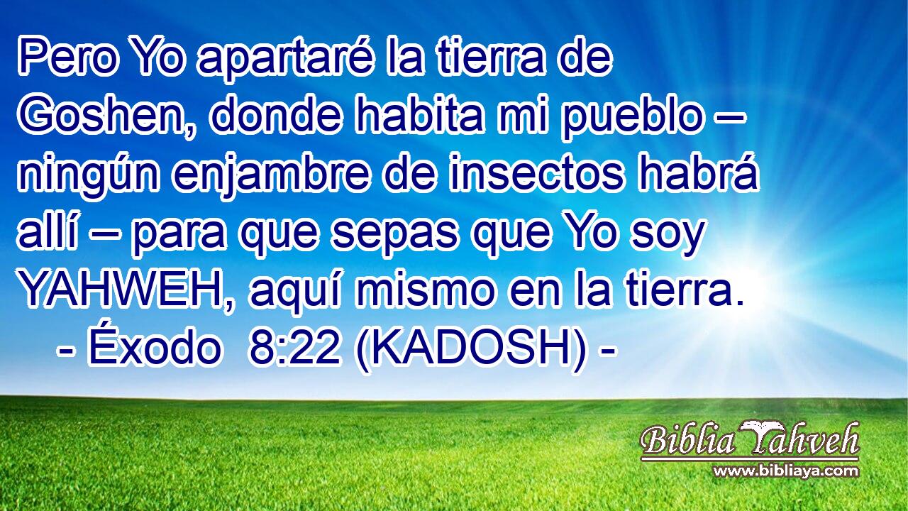  Pero Yo apartaré la tierra de Goshen, donde habita mi pueblo – ningún enjambre de insectos habrá allí – para que sepas que Yo soy YAHWEH, aquí mismo en la tierra. 