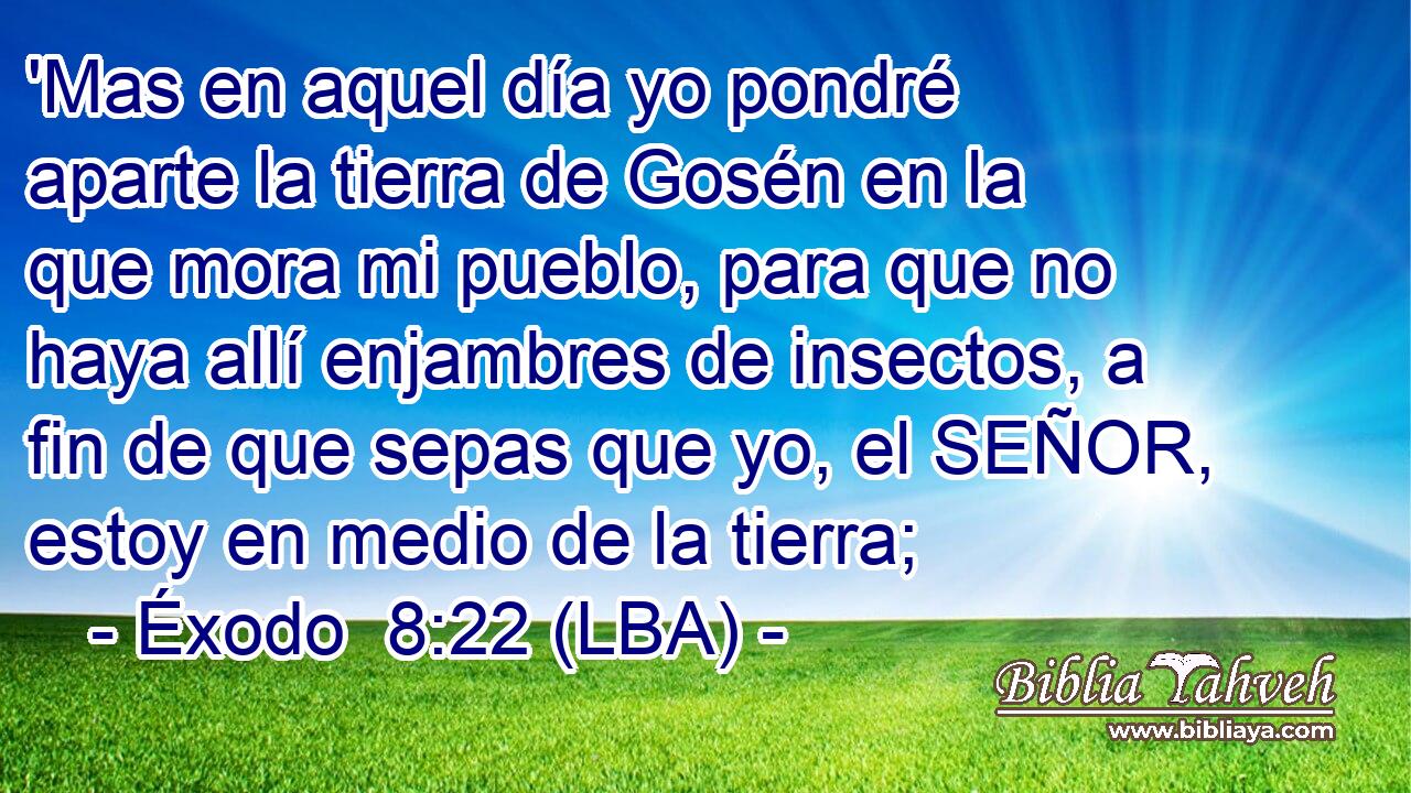 'Mas en aquel día yo pondré aparte la tierra de Gosén en la que mora mi pueblo, para que no haya allí enjambres de insectos, a fin de que sepas que yo, el SEÑOR, estoy en medio de la tierra;