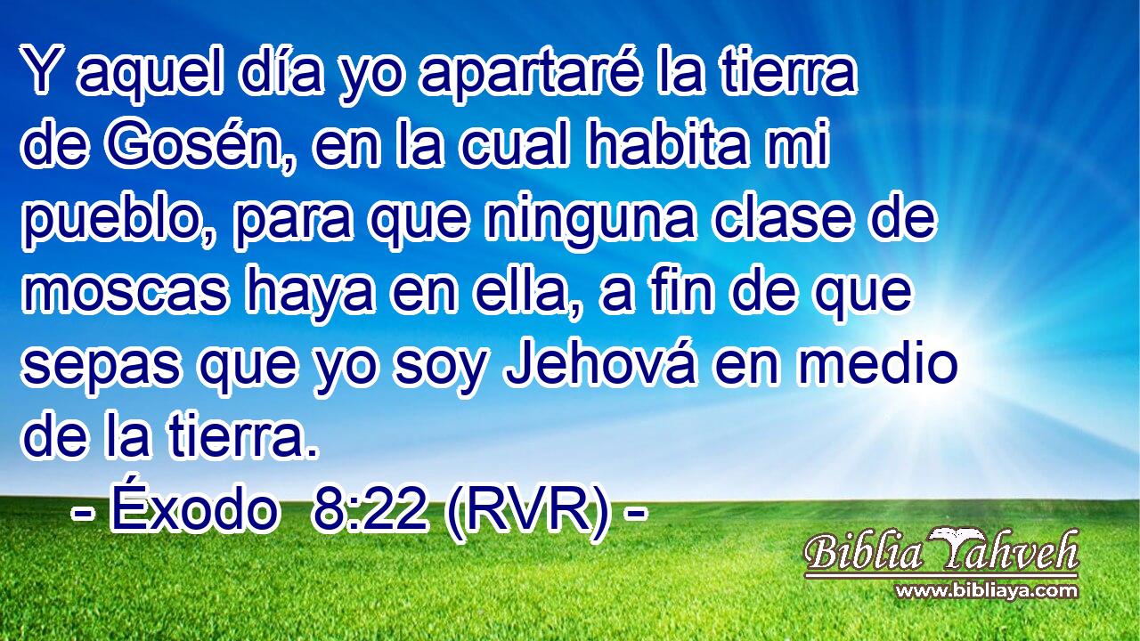 Y aquel día yo apartaré la tierra de Gosén, en la cual habita mi pueblo, para que ninguna clase de moscas haya en ella, a fin de que sepas que yo soy Jehová en medio de la tierra.