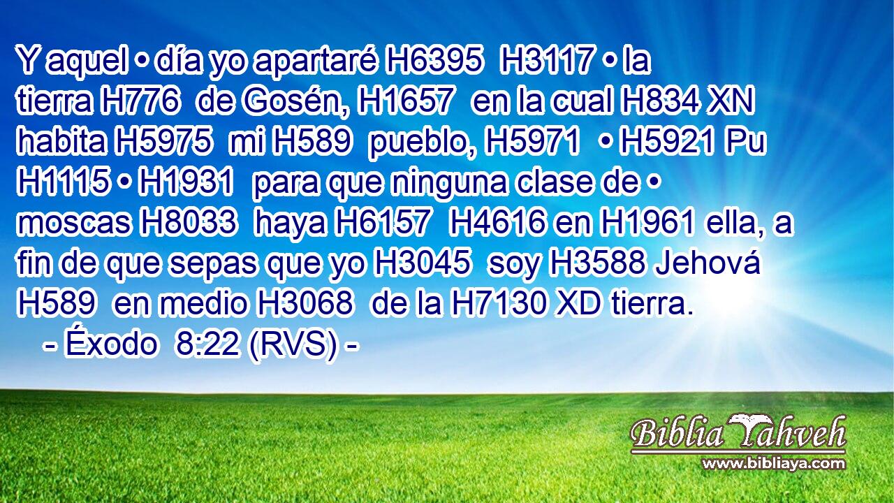 Y aquel • día yo apartaré H6395  H3117 • la tierra H776  de Gosén, H1657  en la cual H834 XN habita H5975  mi H589  pueblo, H5971  • H5921 Pu H1115 • H1931  para que ninguna clase de • moscas H8033  haya H6157  H4616 en H1961 ella, a fin de que sepas que yo H3045  soy H3588 Jehová H589  en medio H3068  de la H7130 XD tierra. 
