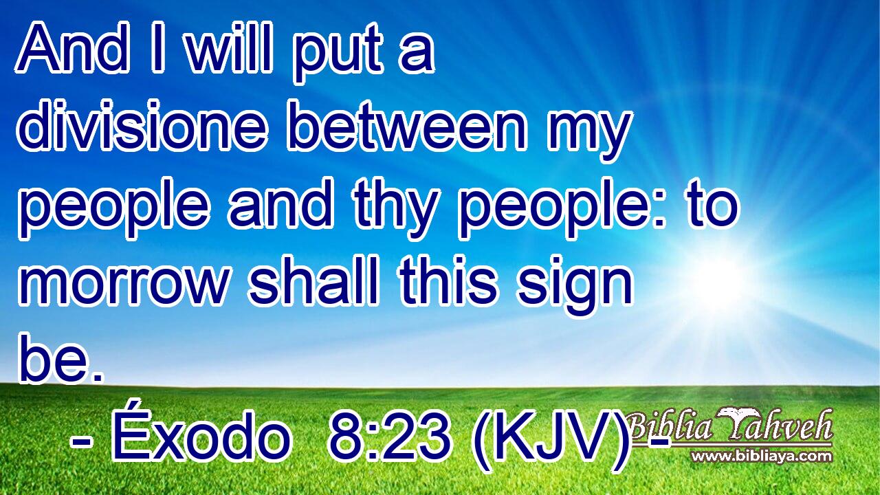 And I will put a divisione between my people and thy people: to morrow shall this sign be.