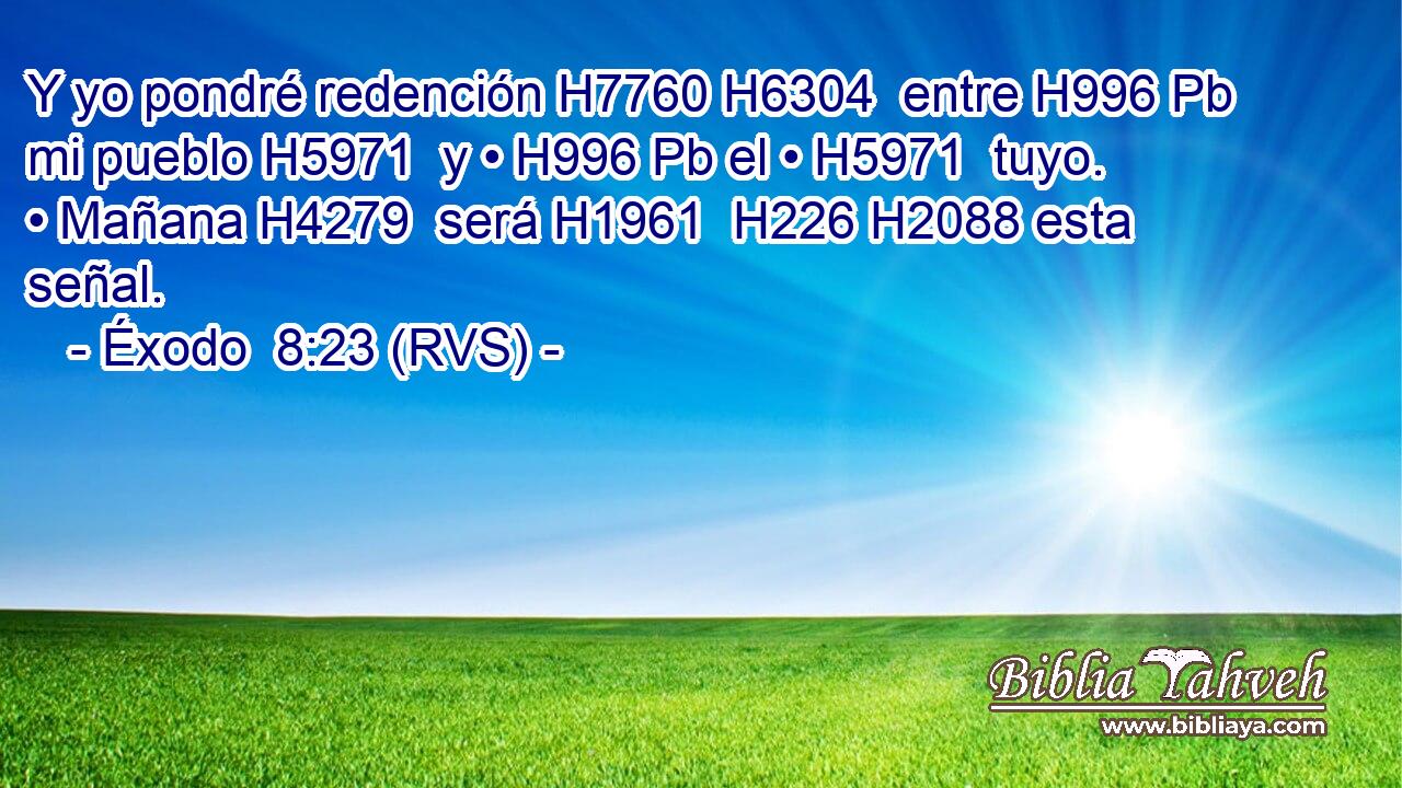 Y yo pondré redención H7760 H6304  entre H996 Pb mi pueblo H5971  y • H996 Pb el • H5971  tuyo. • Mañana H4279  será H1961  H226 H2088 esta señal. 