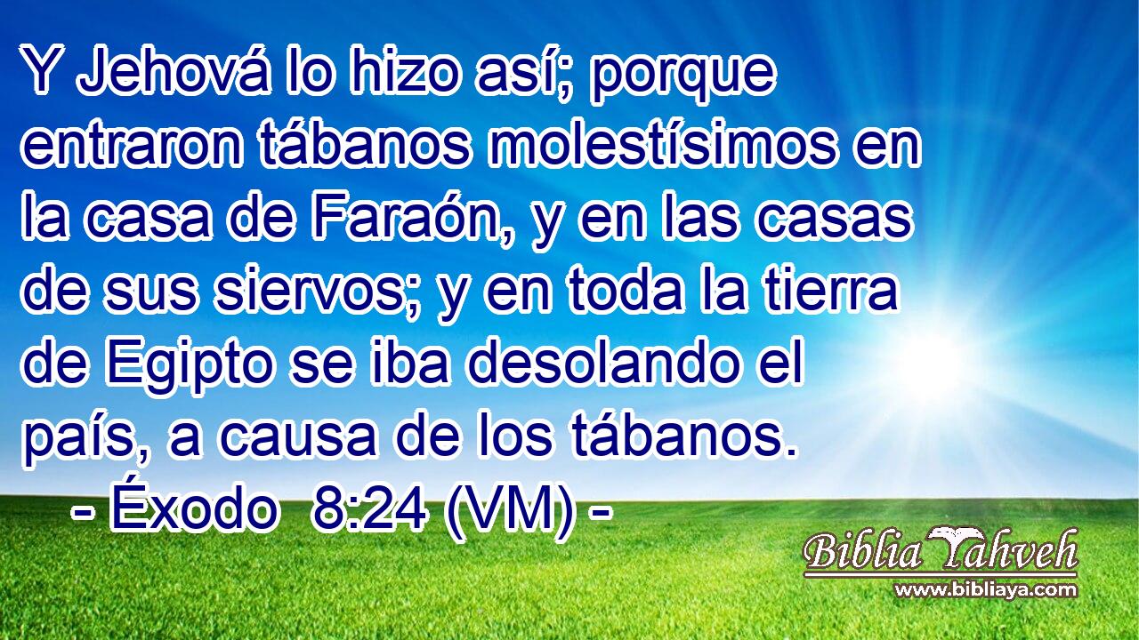  Y Jehová lo hizo así; porque entraron tábanos molestísimos en la casa de Faraón, y en las casas de sus siervos; y en toda la tierra de Egipto se iba desolando el país, a causa de los tábanos. 