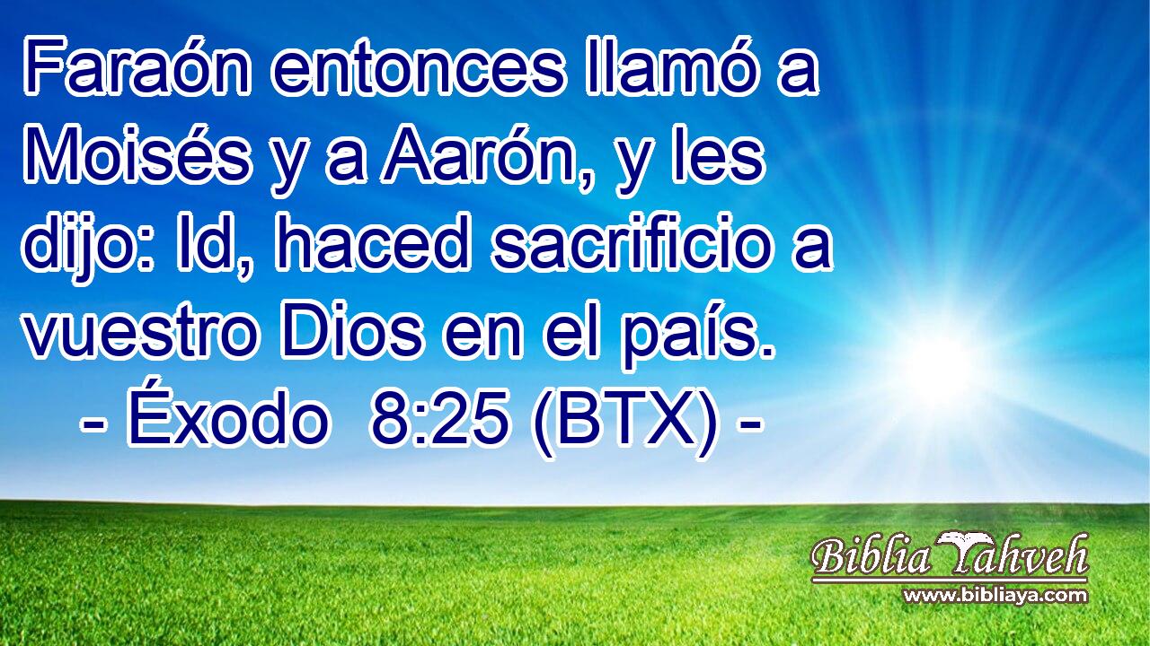 Faraón entonces llamó a Moisés y a Aarón, y les dijo: Id, haced sacrificio a vuestro Dios en el país.