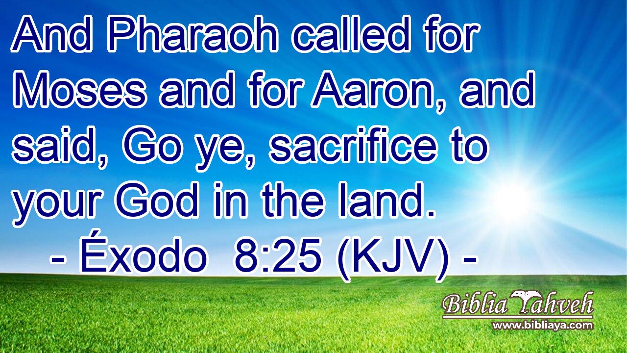 And Pharaoh called for Moses and for Aaron, and said, Go ye, sacrifice to your God in the land.