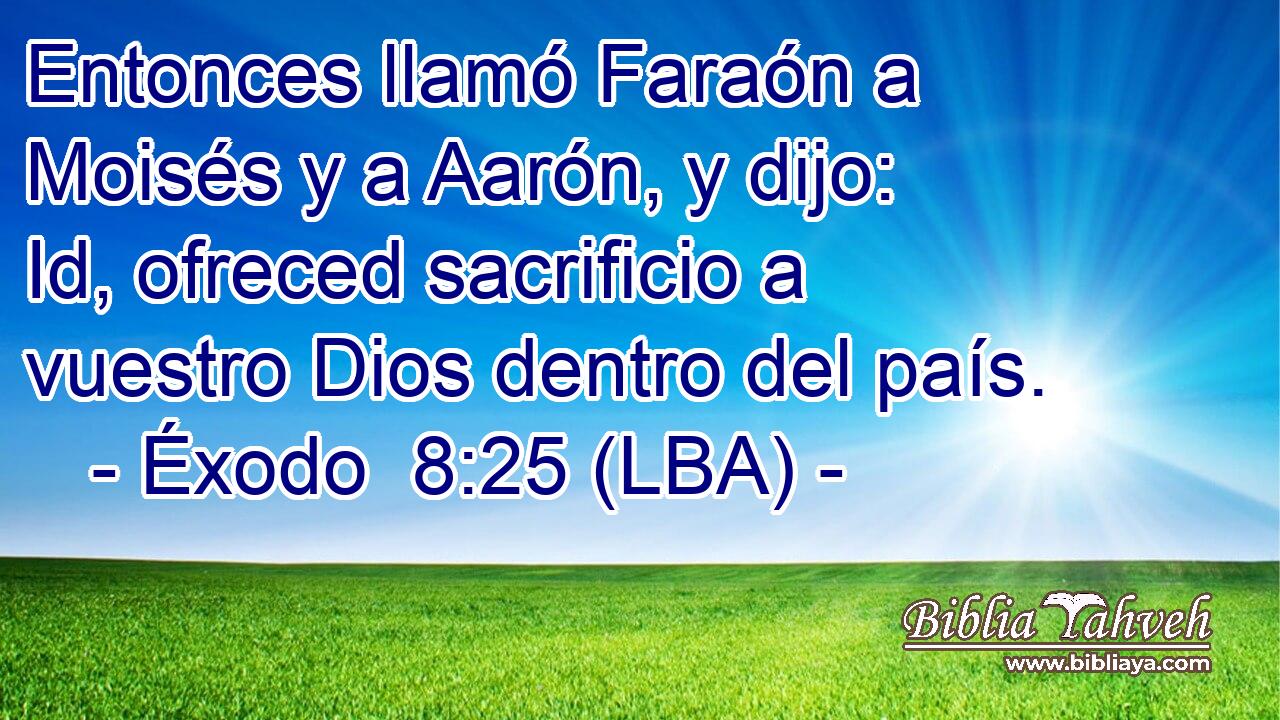 Entonces llamó Faraón a Moisés y a Aarón, y dijo: Id, ofreced sacrificio a vuestro Dios dentro del país.