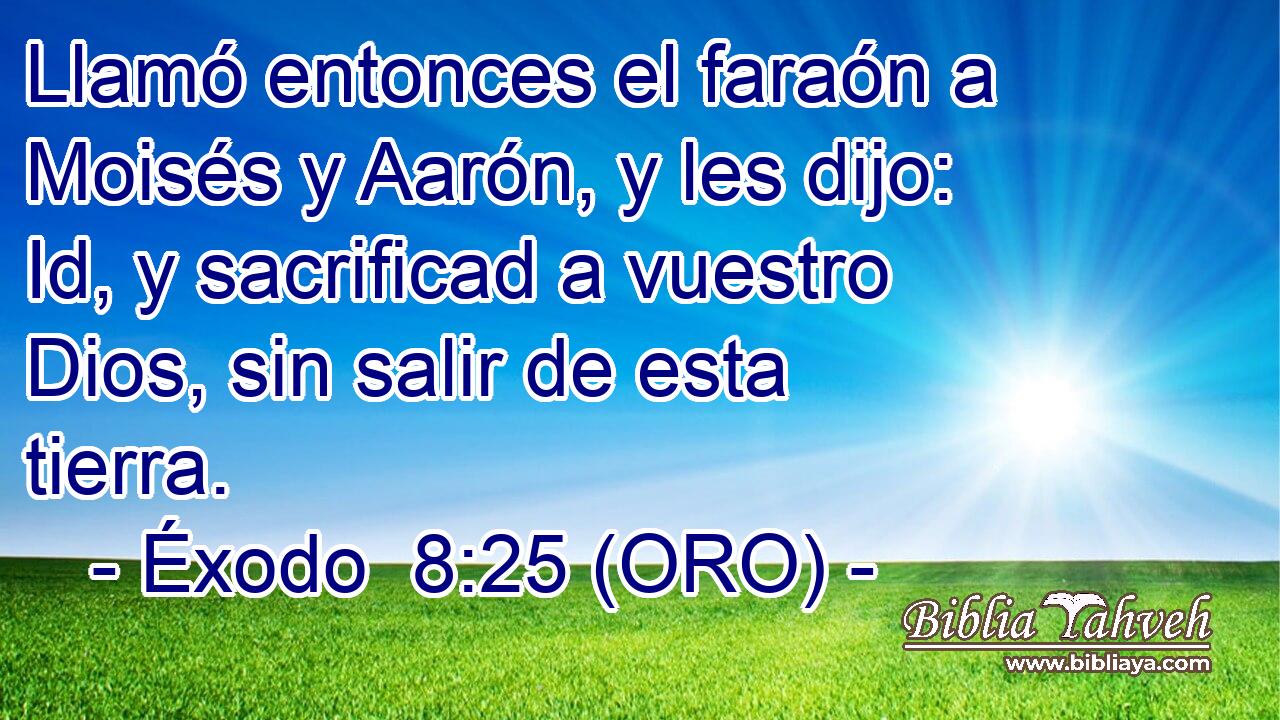  Llamó entonces el faraón a Moisés y Aarón, y les dijo: Id, y sacrificad a vuestro Dios, sin salir de esta tierra. 
