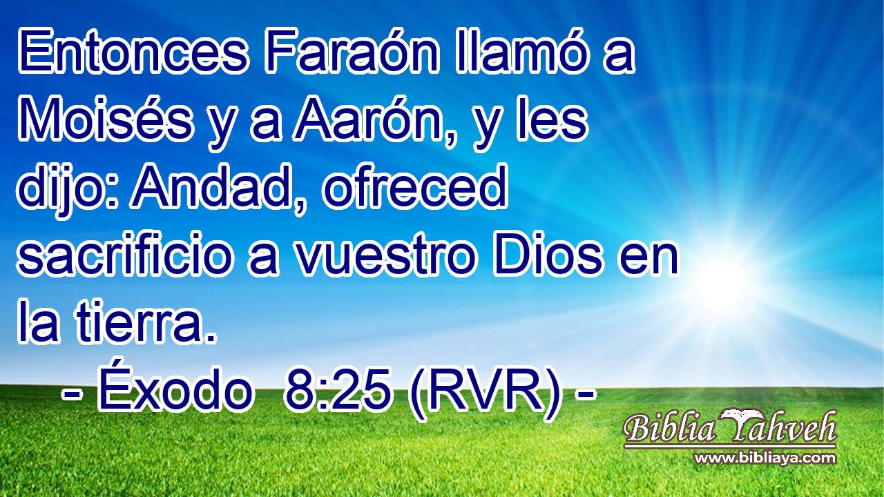 Entonces Faraón llamó a Moisés y a Aarón, y les dijo: Andad, ofreced sacrificio a vuestro Dios en la tierra.