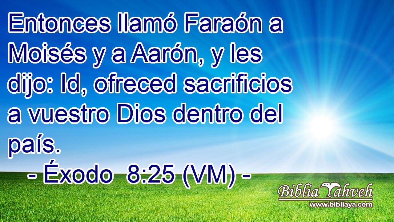  Entonces llamó Faraón a Moisés y a Aarón, y les dijo: Id, ofreced sacrificios a vuestro Dios dentro del país. 