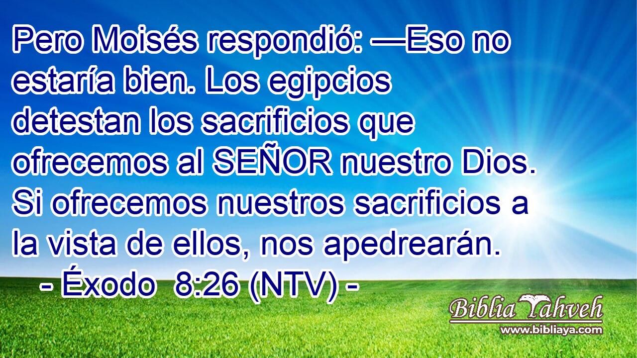 Pero Moisés respondió: —Eso no estaría bien. Los egipcios detestan los sacrificios que ofrecemos al SEÑOR nuestro Dios. Si ofrecemos nuestros sacrificios a la vista de ellos, nos apedrearán.