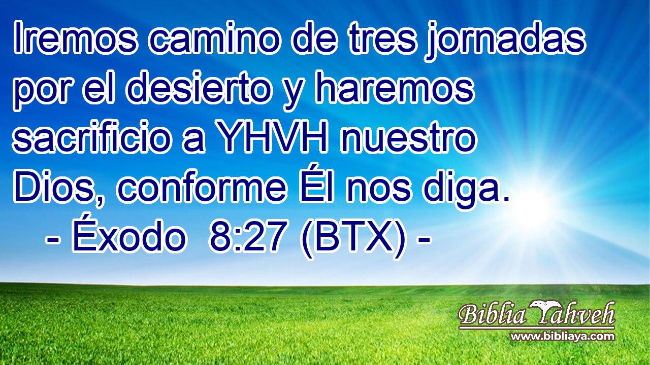 Iremos camino de tres jornadas por el desierto y haremos sacrificio a YHVH nuestro Dios, conforme Él nos diga.