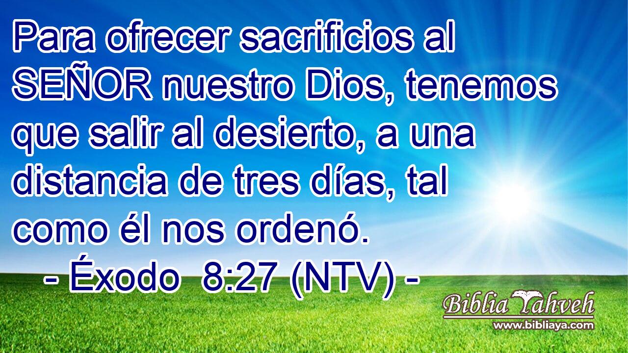 Para ofrecer sacrificios al SEÑOR nuestro Dios, tenemos que salir al desierto, a una distancia de tres días, tal como él nos ordenó.