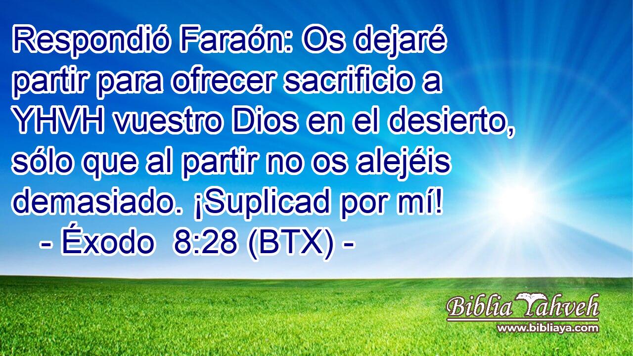 Respondió Faraón: Os dejaré partir para ofrecer sacrificio a YHVH vuestro Dios en el desierto, sólo que al partir no os alejéis demasiado. ¡Suplicad por mí!