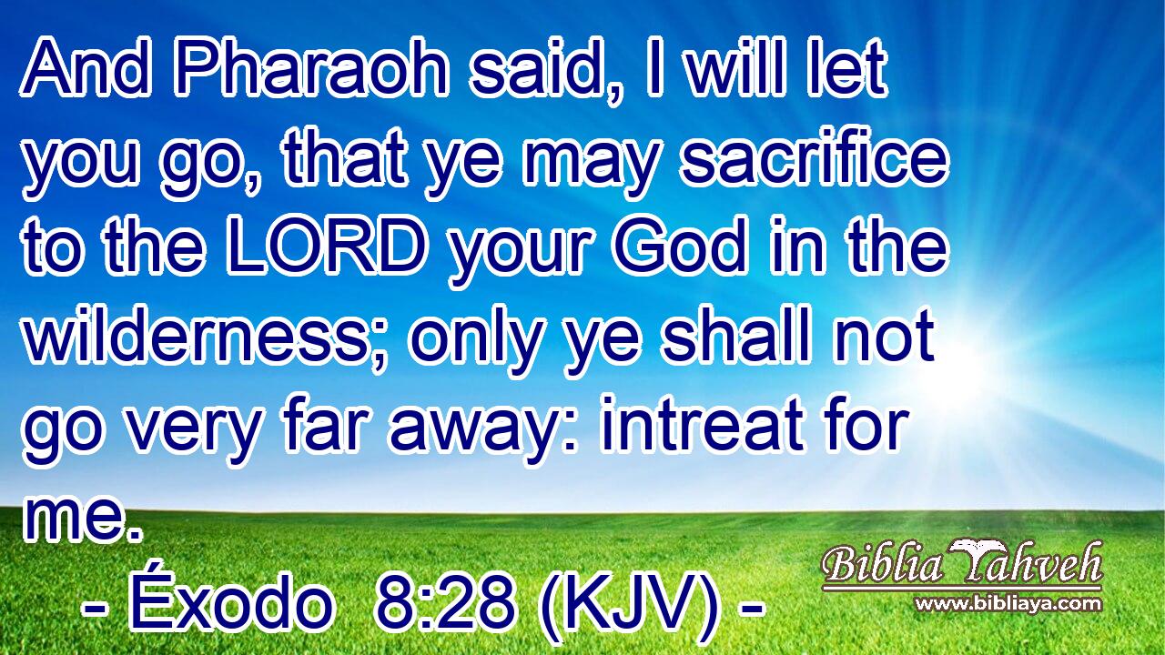 And Pharaoh said, I will let you go, that ye may sacrifice to the LORD your God in the wilderness; only ye shall not go very far away: intreat for me.