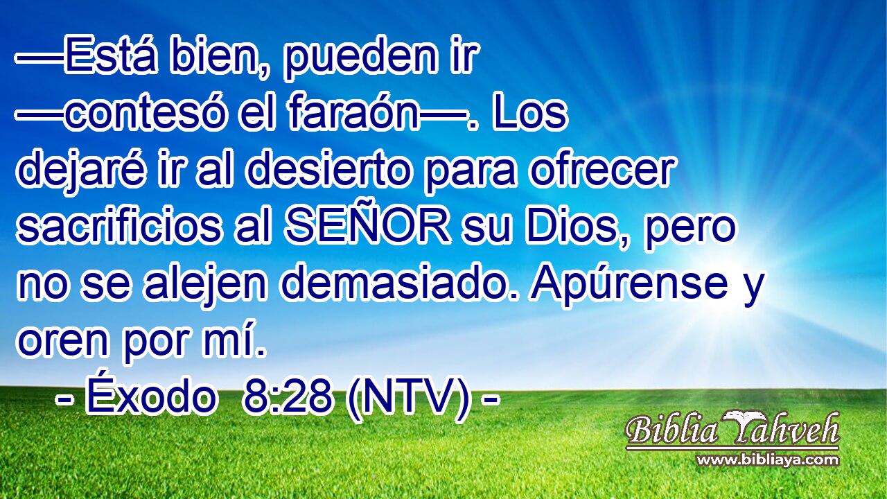 —Está bien, pueden ir —contesó el faraón—. Los dejaré ir al desierto para ofrecer sacrificios al SEÑOR su Dios, pero no se alejen demasiado. Apúrense y oren por mí.