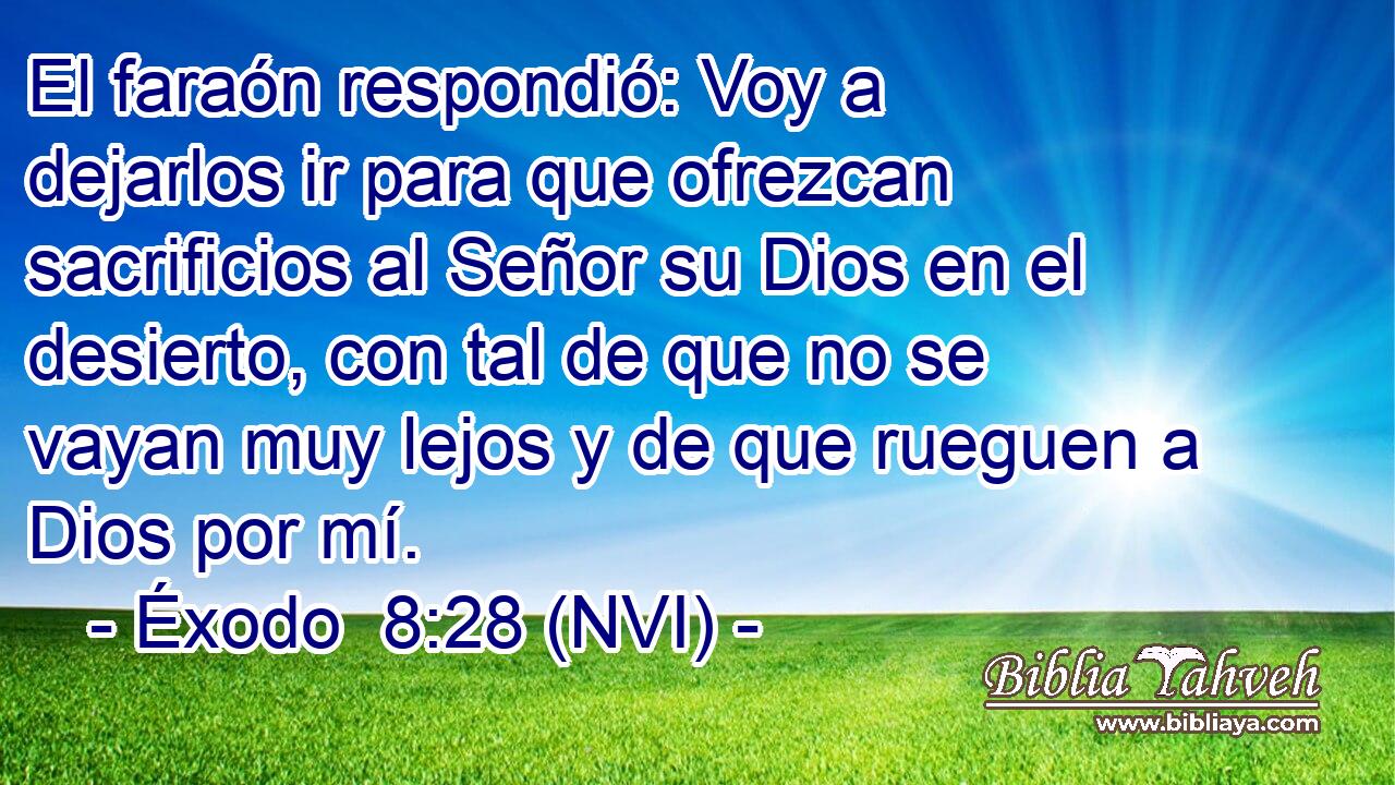  El faraón respondió: Voy a dejarlos ir para que ofrezcan sacrificios al Señor su Dios en el desierto, con tal de que no se vayan muy lejos y de que rueguen a Dios por mí. 
