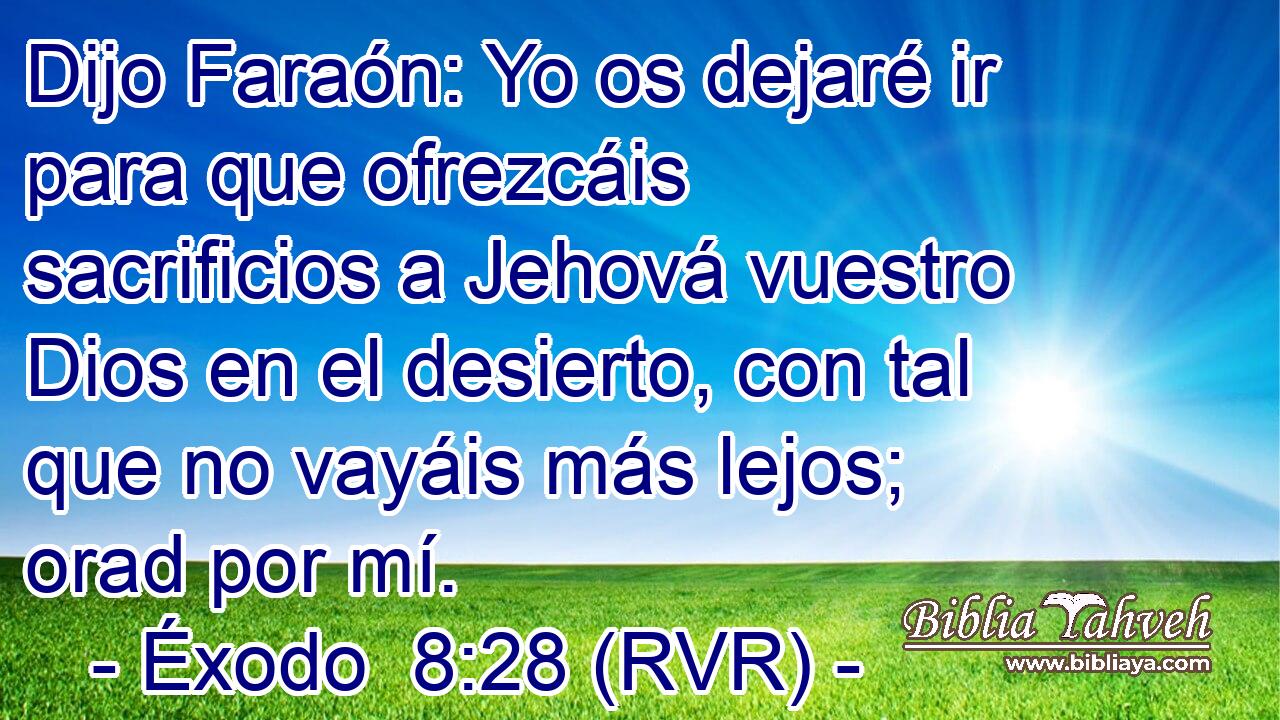 Dijo Faraón: Yo os dejaré ir para que ofrezcáis sacrificios a Jehová vuestro Dios en el desierto, con tal que no vayáis más lejos; orad por mí.