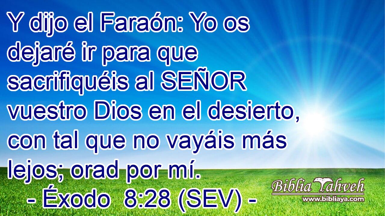 Y dijo el Faraón: Yo os dejaré ir para que sacrifiquéis al SEÑOR vuestro Dios en el desierto, con tal que no vayáis más lejos; orad por mí.