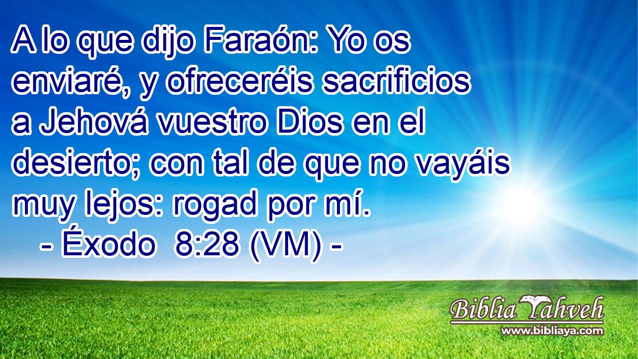  A lo que dijo Faraón: Yo os enviaré, y ofreceréis sacrificios a Jehová vuestro Dios en el desierto; con tal de que no vayáis muy lejos: rogad por mí. 