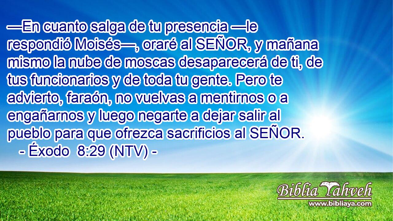 —En cuanto salga de tu presencia —le respondió Moisés—, oraré al SEÑOR, y mañana mismo la nube de moscas desaparecerá de ti, de tus funcionarios y de toda tu gente. Pero te advierto, faraón, no vuelvas a mentirnos o a engañarnos y luego negarte a dejar salir al pueblo para que ofrezca sacrificios al SEÑOR.