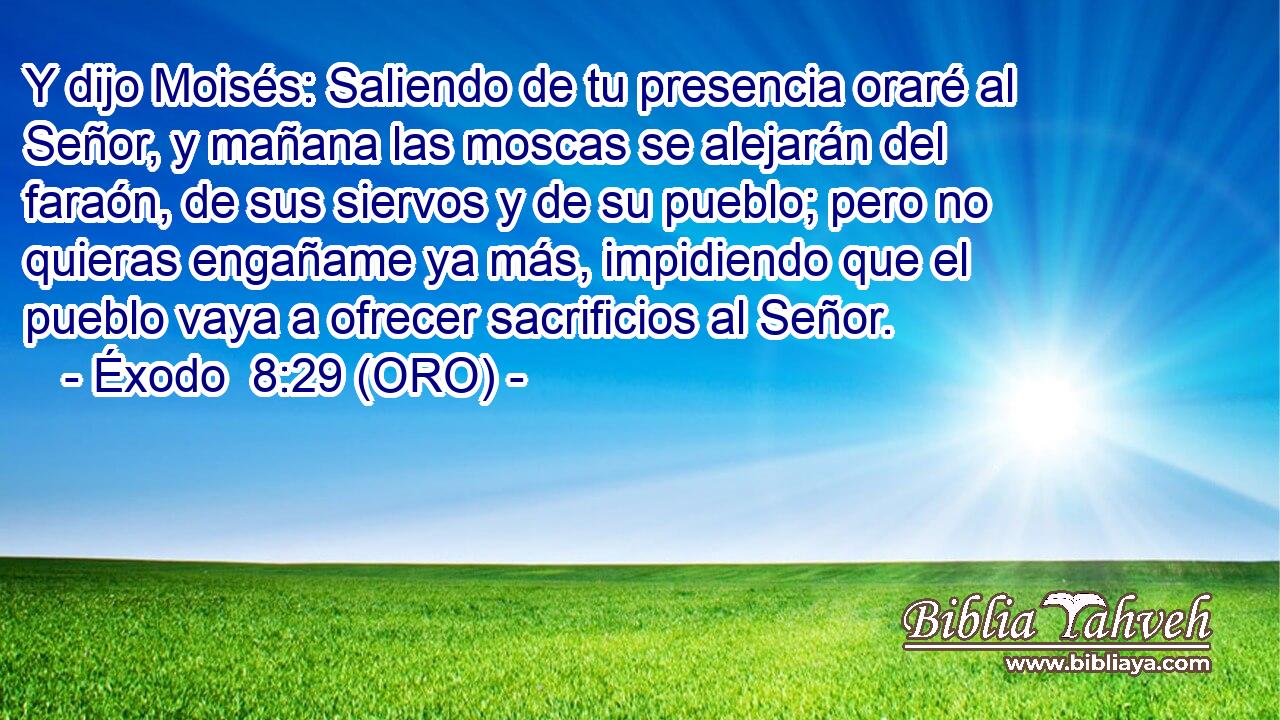  Y dijo Moisés: Saliendo de tu presencia oraré al Señor, y mañana las moscas se alejarán del faraón, de sus siervos y de su pueblo; pero no quieras engañame ya más, impidiendo que el pueblo vaya a ofrecer sacrificios al Señor. 