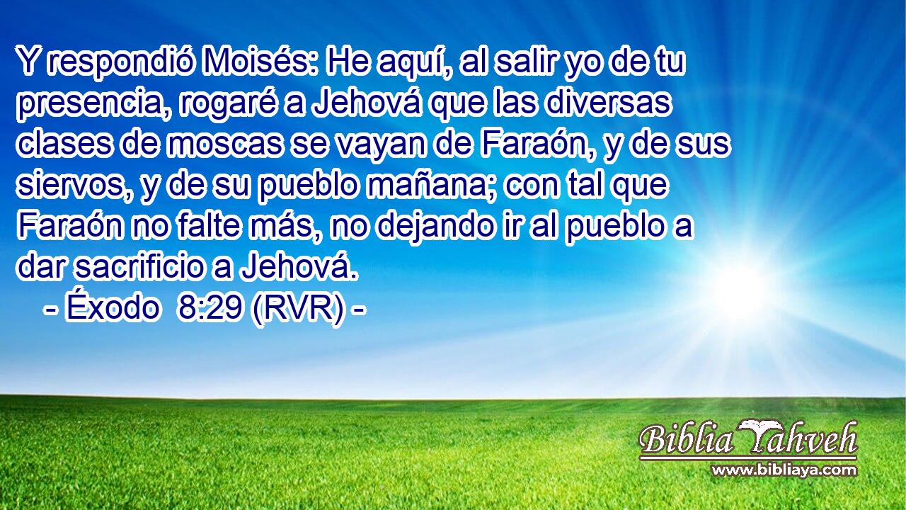Y respondió Moisés: He aquí, al salir yo de tu presencia, rogaré a Jehová que las diversas clases de moscas se vayan de Faraón, y de sus siervos, y de su pueblo mañana; con tal que Faraón no falte más, no dejando ir al pueblo a dar sacrificio a Jehová.