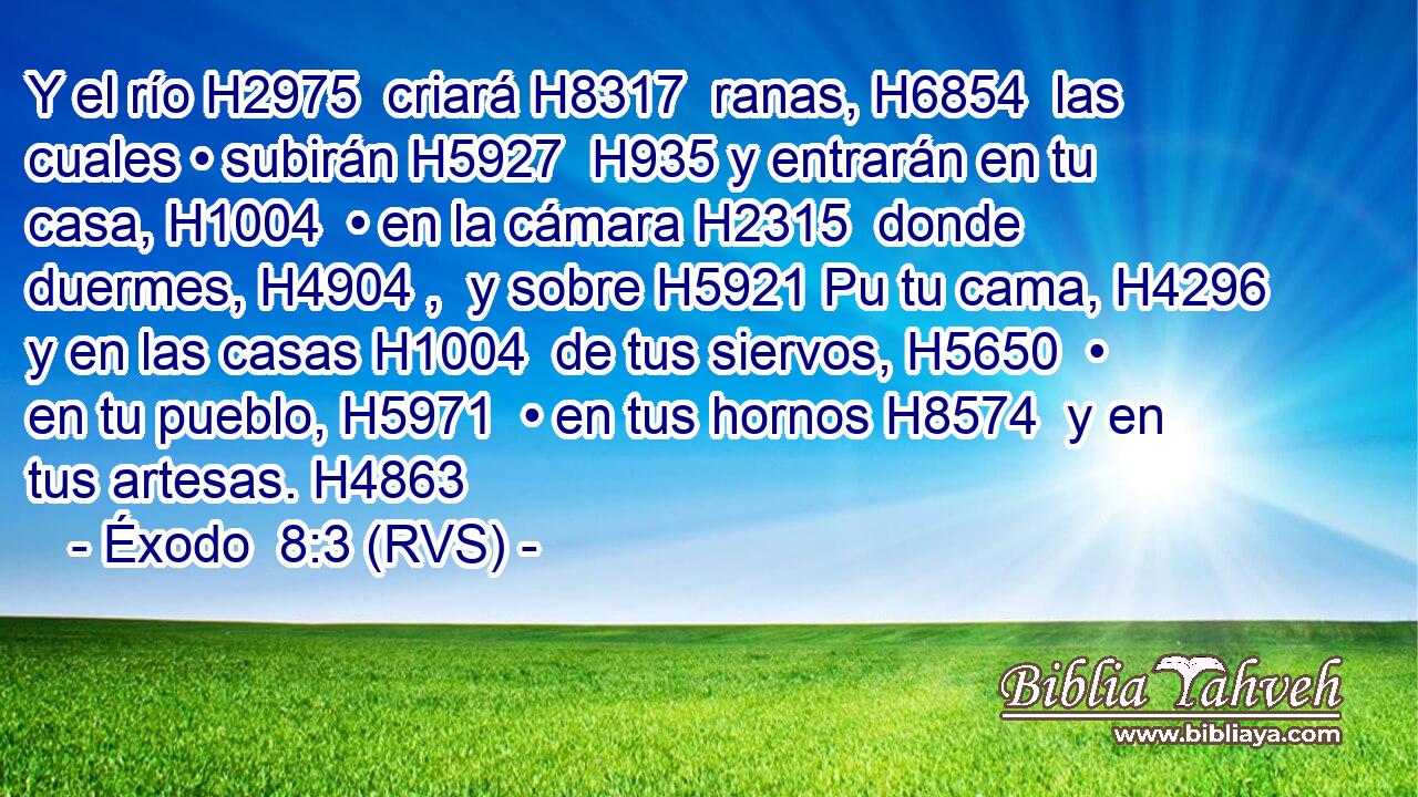 Y el río H2975  criará H8317  ranas, H6854  las cuales • subirán H5927  H935 y entrarán en tu casa, H1004  • en la cámara H2315  donde duermes, H4904 ,  y sobre H5921 Pu tu cama, H4296  y en las casas H1004  de tus siervos, H5650  • en tu pueblo, H5971  • en tus hornos H8574  y en tus artesas. H4863  