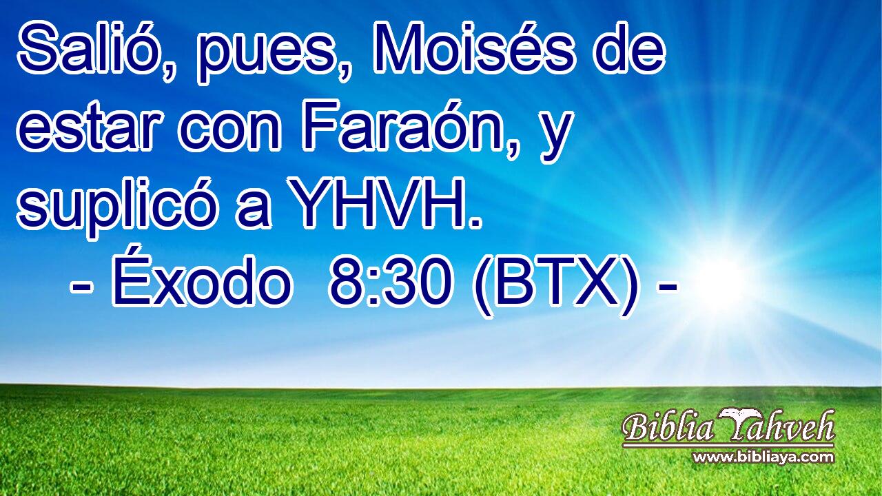 Salió, pues, Moisés de estar con Faraón, y suplicó a YHVH.