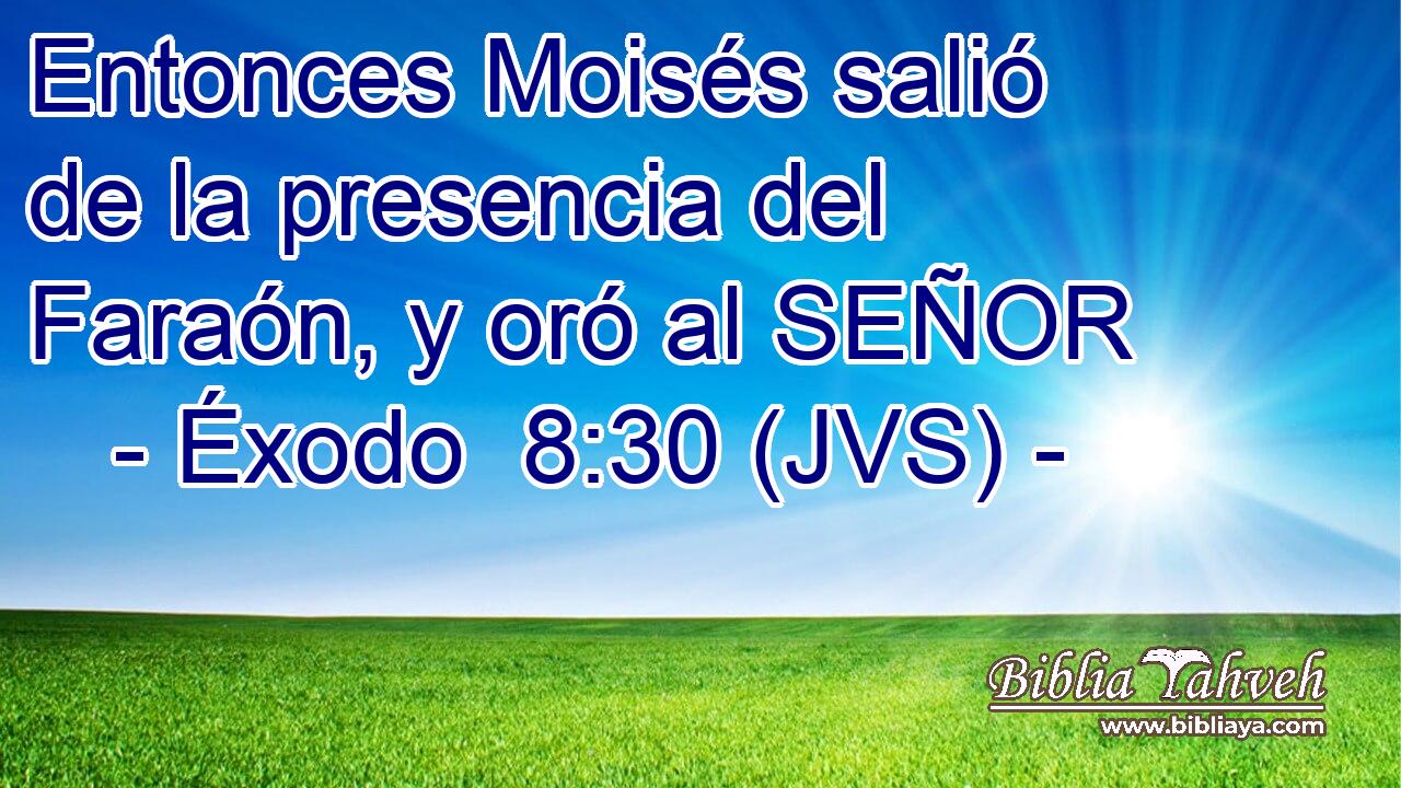 Entonces Moisés salió de la presencia del Faraón, y oró al SEÑOR