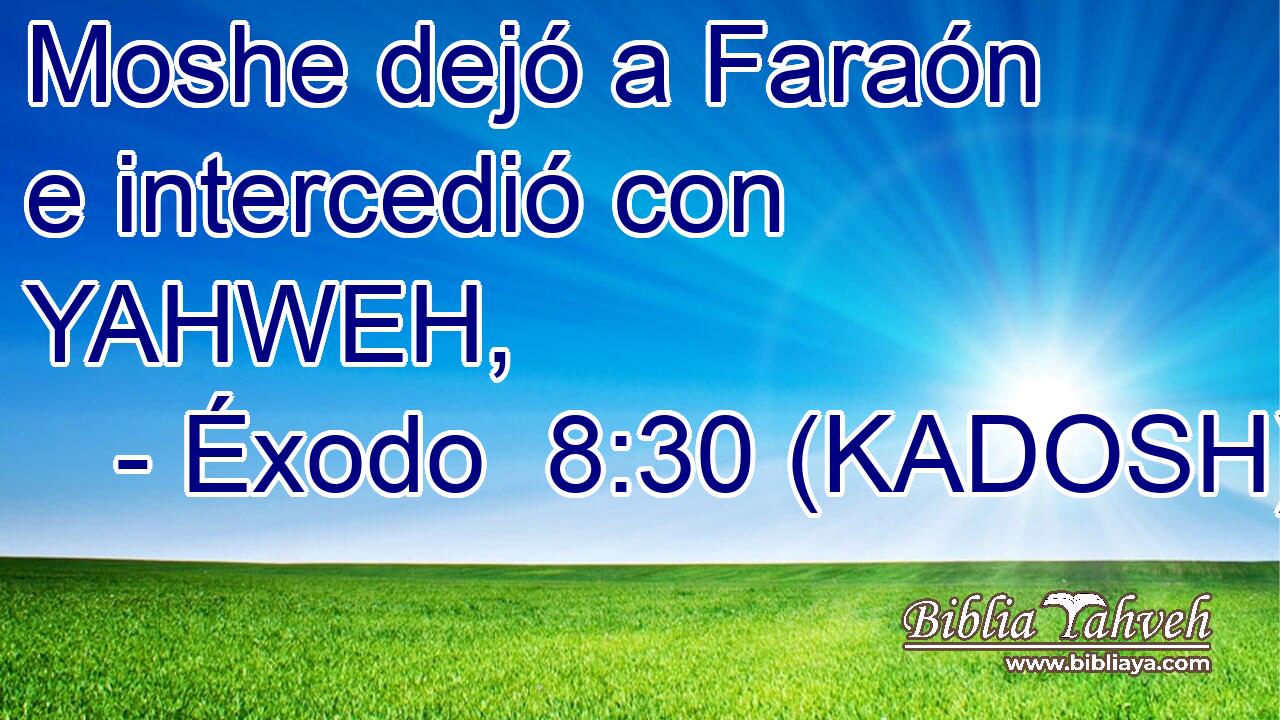  Moshe dejó a Faraón e intercedió con YAHWEH, 