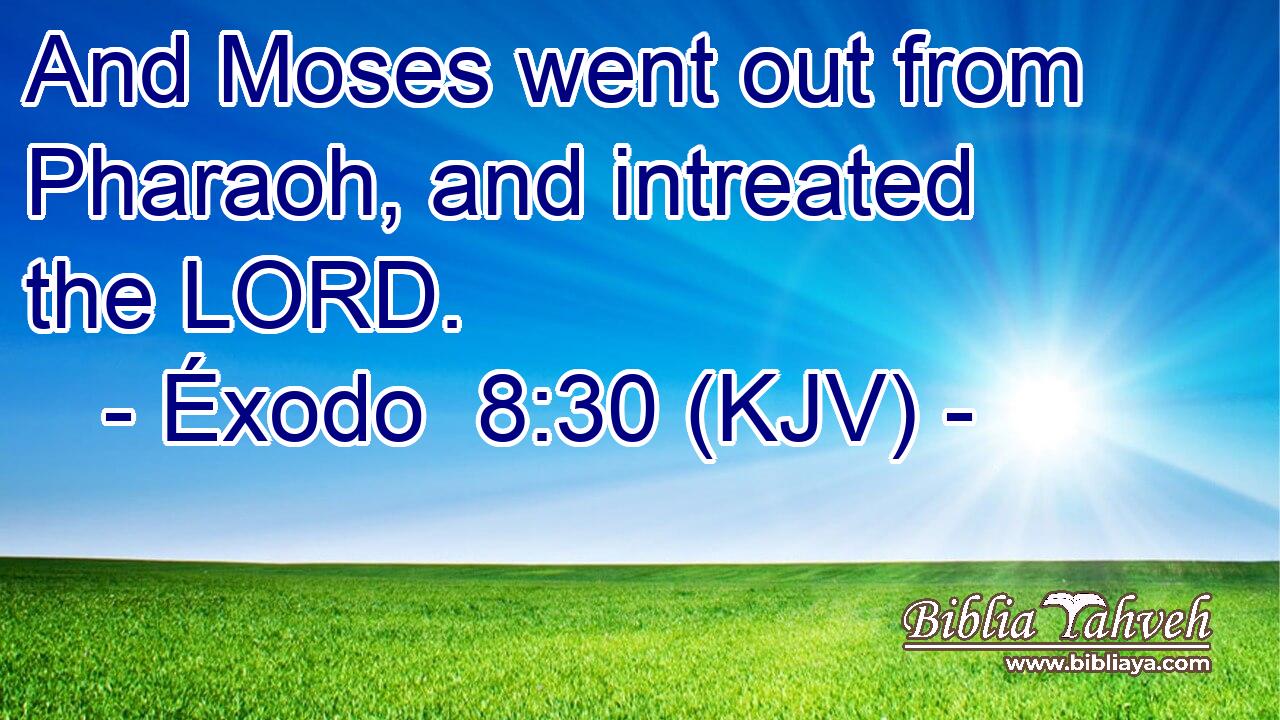 And Moses went out from Pharaoh, and intreated the LORD.
