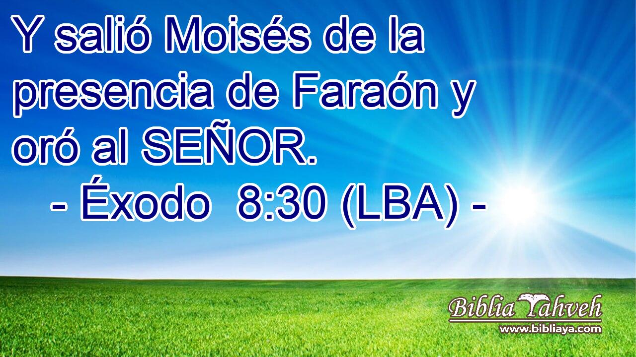 Y salió Moisés de la presencia de Faraón y oró al SEÑOR.