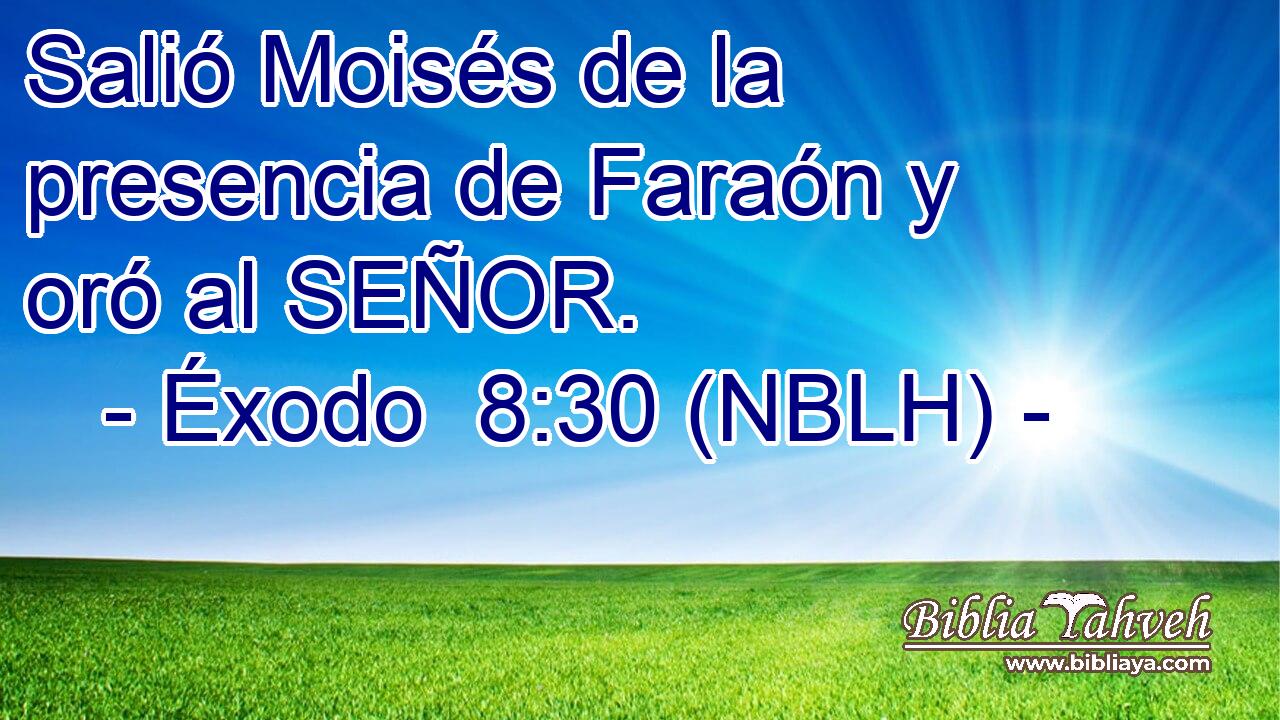  Salió Moisés de la presencia de Faraón y oró al SEÑOR. 