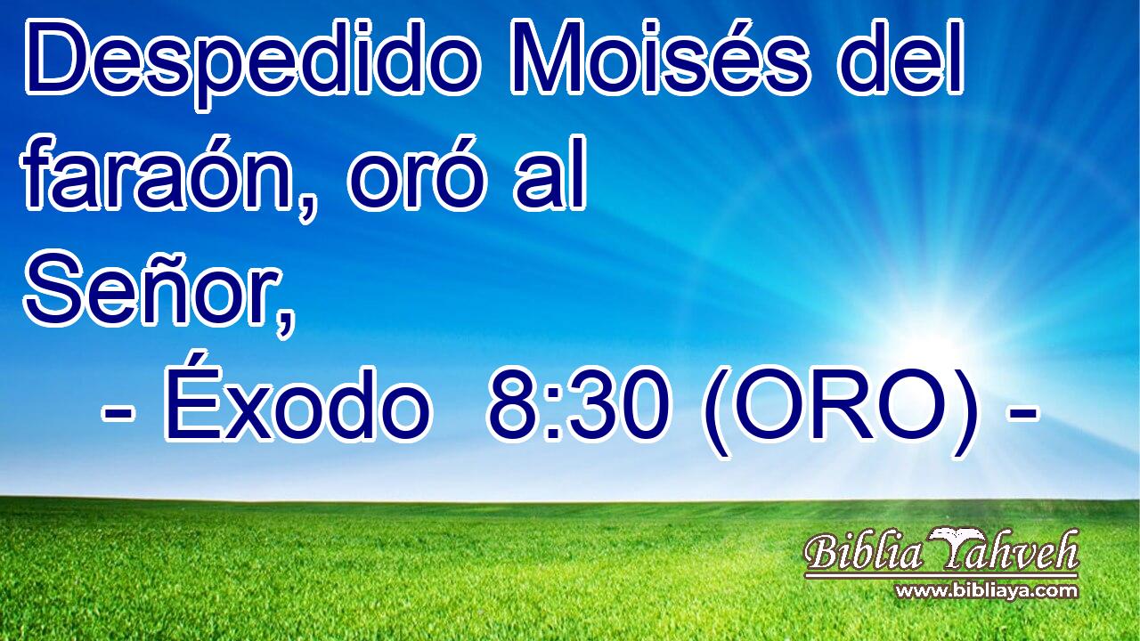  Despedido Moisés del faraón, oró al Señor, 