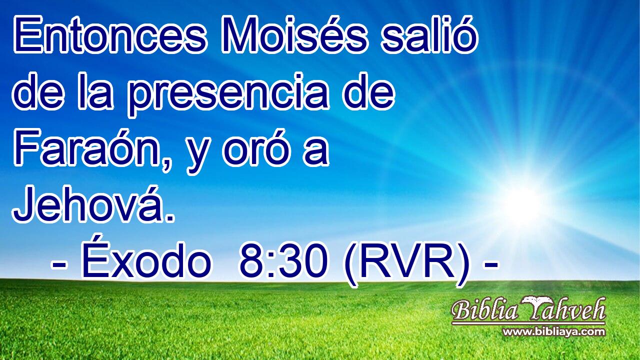 Entonces Moisés salió de la presencia de Faraón, y oró a Jehová.