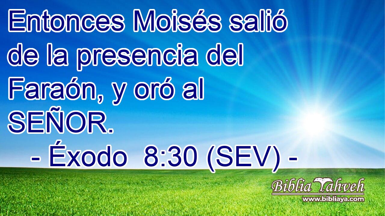 Entonces Moisés salió de la presencia del Faraón, y oró al SEÑOR.